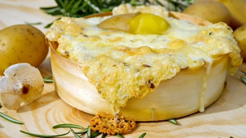 Białko i jego rola w zdrowej diecie