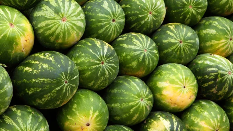 Znaczenie odpowiedniej diety dla pięknej skóry